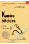 Kamica żółciowa