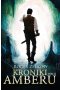 Kroniki Amberu, tom II