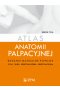 Atlas anatomii palpacyjnej. Badanie manualne powłok.