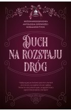 Duch na rozstaju dróg. Bożonarodzeniowa antologia opowieści niesamowitych