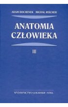 Anatomia człowieka