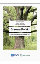 Drzewa Polski