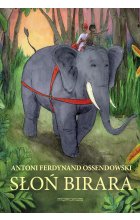 Słoń Birara