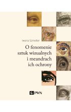 O fenomenie sztuk wizualnych i meandrach ich ochrony