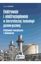 Elektrownie i elektrociepłownie w hierarchicznej technologii gazowo-gazowej