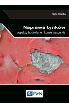 Naprawa tynków.