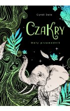 Czakry. Mały przewodnik