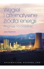 Węgiel i alternatywne źródła energii