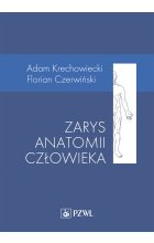 Zarys anatomii człowieka