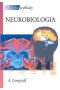 Krótkie wykłady. Neurobiologia