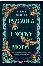 Pszczoła i nocny motyl. Destini Chronicles. Tom 1