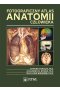 Fotograficzny atlas anatomii człowieka