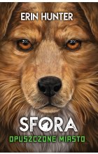 Opuszczone miasto  / Nowa Baśń / 