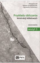 Przykłady obliczania konstrukcji żelbetowych. Zeszyt 3
