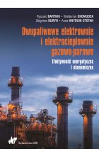 Dwupaliwowe elektrownie i elektrociepłownie gazowo-parowe