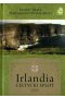 Irlandia. Celtycki splot