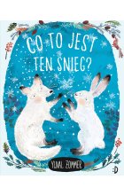 Co to jest ten śnieg? Outlet