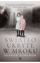 Światło ukryte w mroku