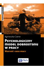 Psychologiczny model dobrostanu w pracy. Wartość i sens pracy