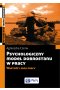 Psychologiczny model dobrostanu w pracy. Wartość i sens pracy