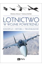 Lotnictwo w wojnie powietrznej