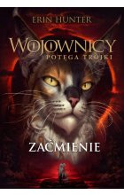 Zaćmienie (WOJOWNICY XVI. POTĘGA TRÓJKI) / Nowa Baśń /  Outlet