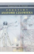 Podstawy anatomii człowieka