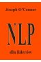 NLP dla liderów