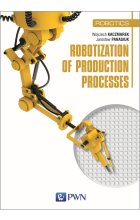 Robotization of production processes