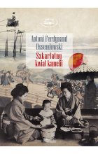 Szkarłatny kwiat kamelii