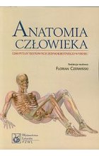 Anatomia człowieka