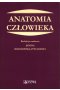 Anatomia człowieka
