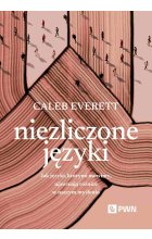 Niezliczone języki