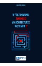 W poszukiwaniu zwinności w architekturze systemów IT