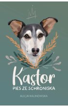 Kastor. PIES ZE SCHRONISKA  / NB / 