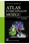 Atlas funkcjonalny mózgu