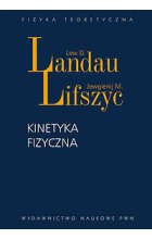 Kinetyka fizyczna