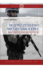 Bezpieczeństwo międzynarodowe