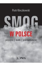 Smog w Polsce