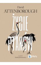 Życie ptaków