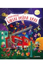 W Robaczkowie. Wielki pożar łąki. Outlet